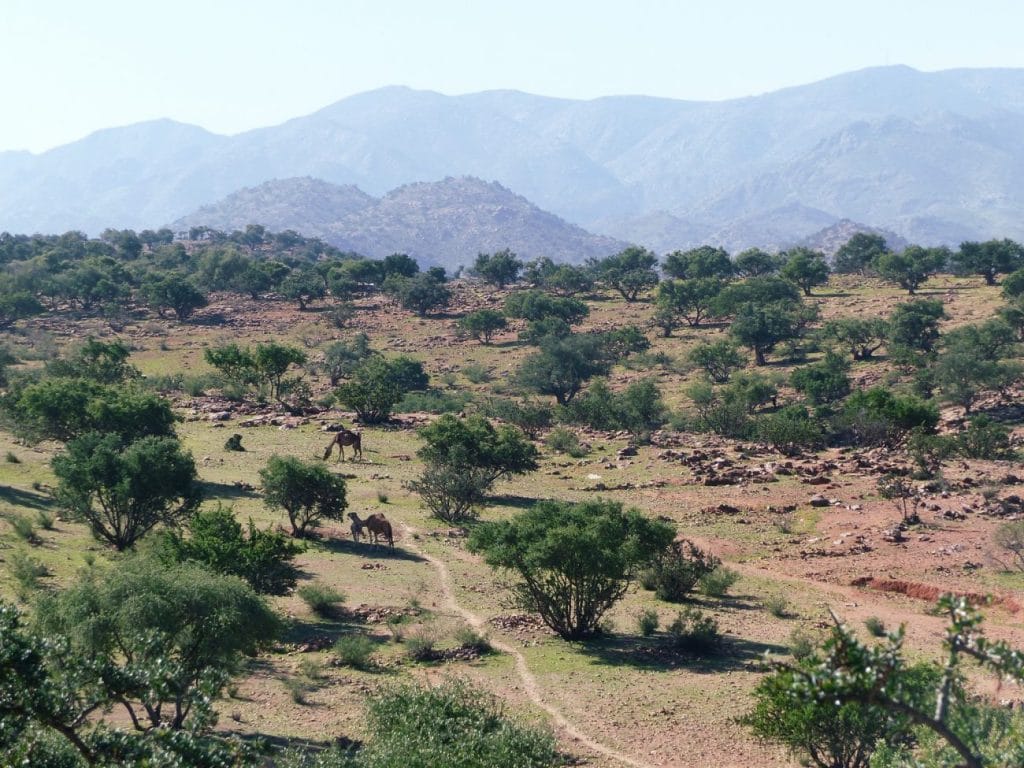 anti atlas maroc