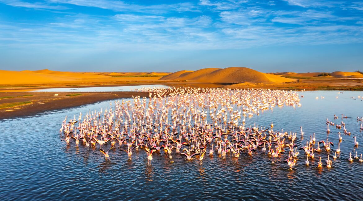 Autotour en Namibie