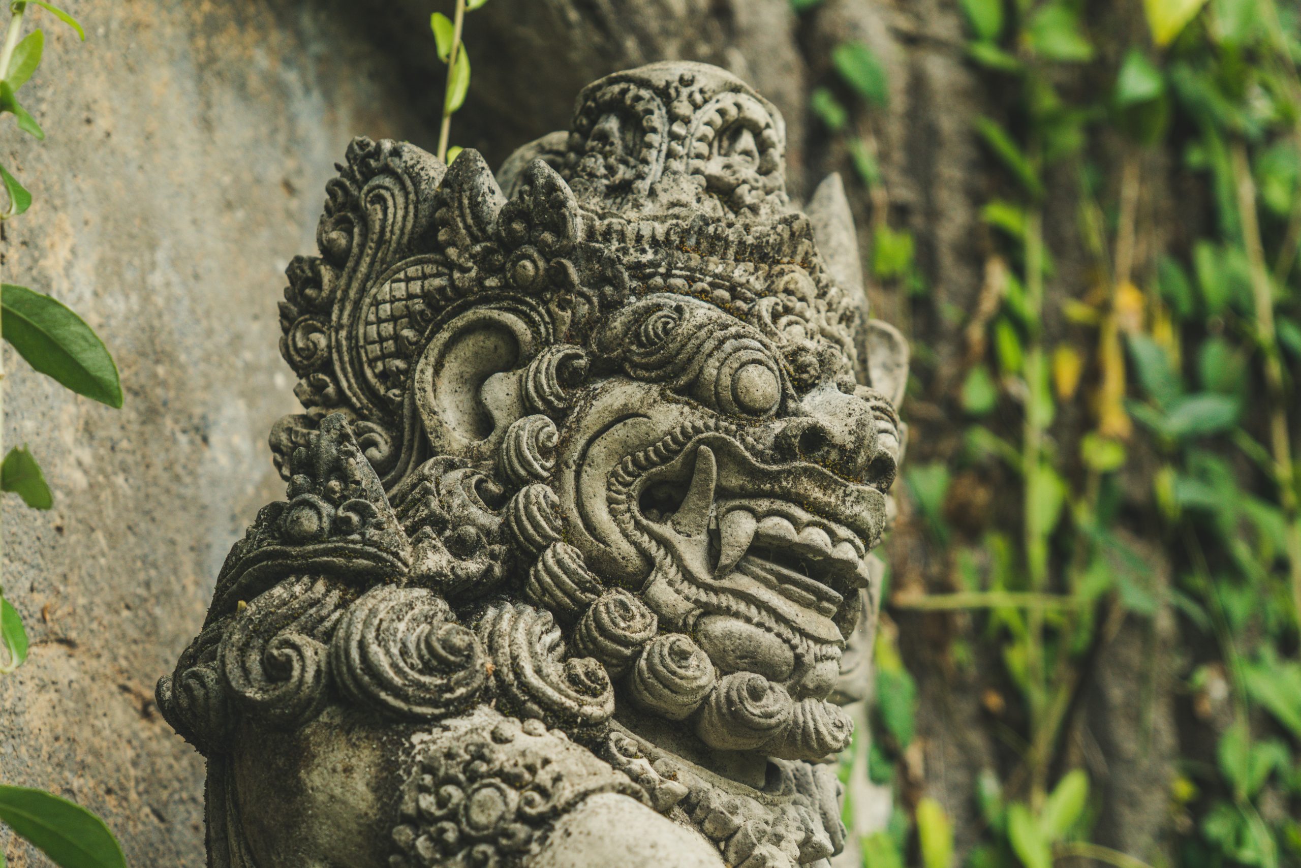 paolo-nicolello-r5jWw96yDyw-unsplash