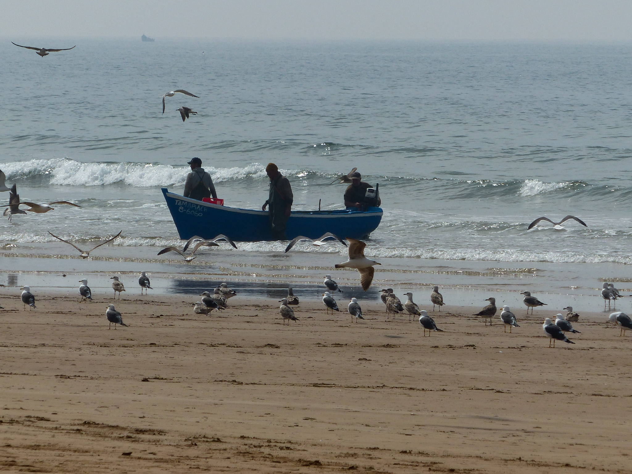 Cocon Agadir by Chris 10 | Instant de Liberté plage-maroc-pecheur-agadir-cote-atlantique