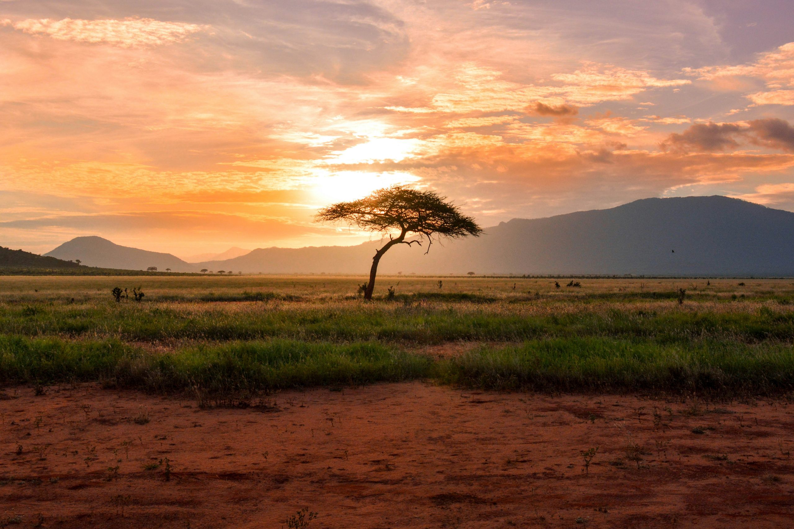 Explorez nos voyages au Kenya | Instant de Liberté Safari Magique au Kenya — Masai Mara, Aberdares, Lamu